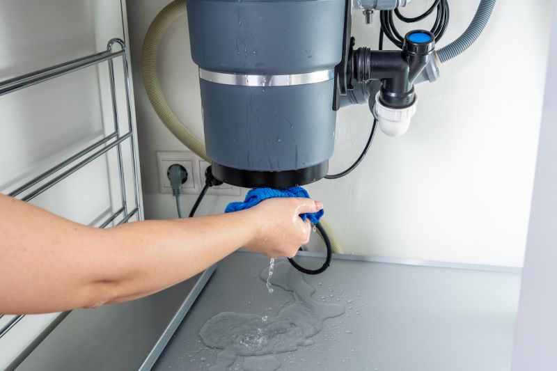 Garbage Disposal Repair in Carson City, NV